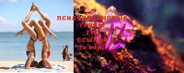 стаф Вязники