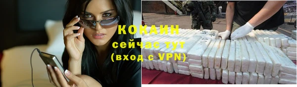 стаф Вязники