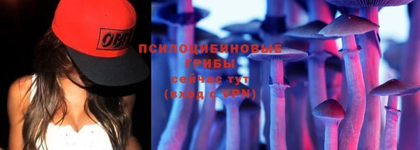 гашик Снежногорск