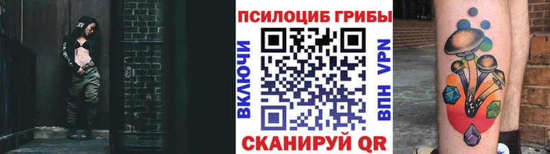 Псилоцибиновые грибы Psilocybe  OMG рабочий сайт  Ельня  где купить  